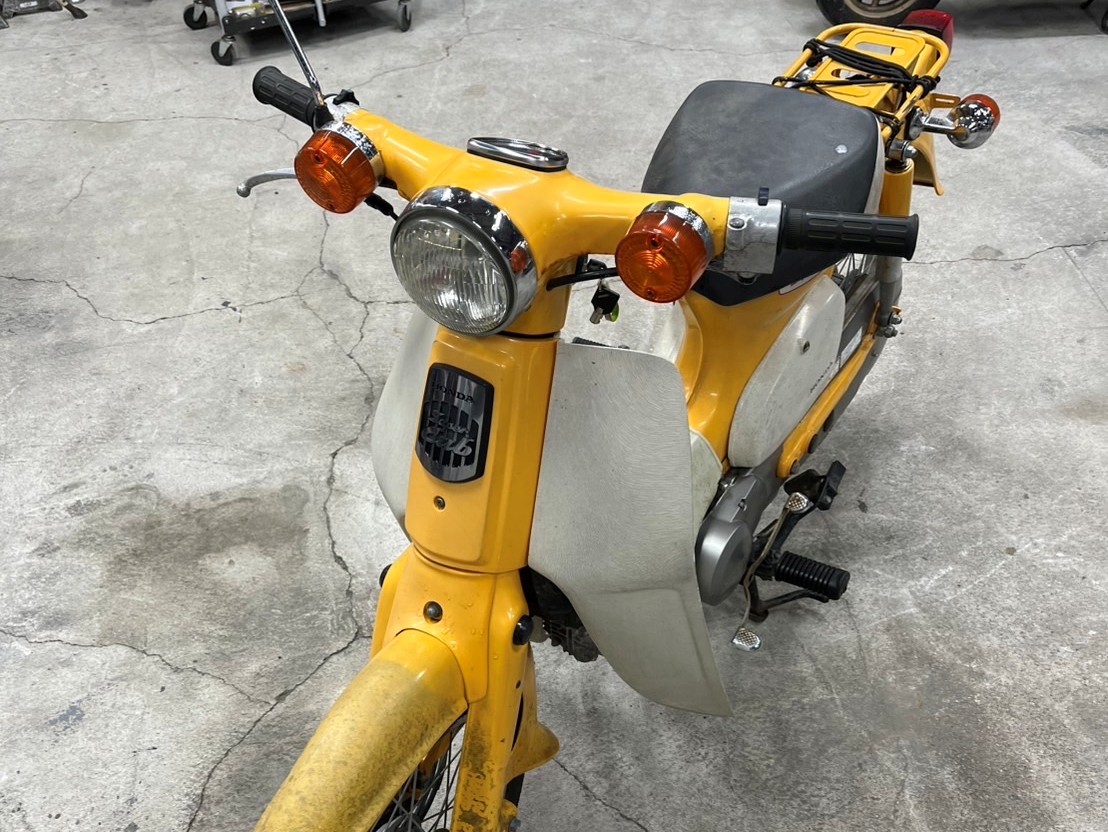 カブ(AA01E)_2025_05_24